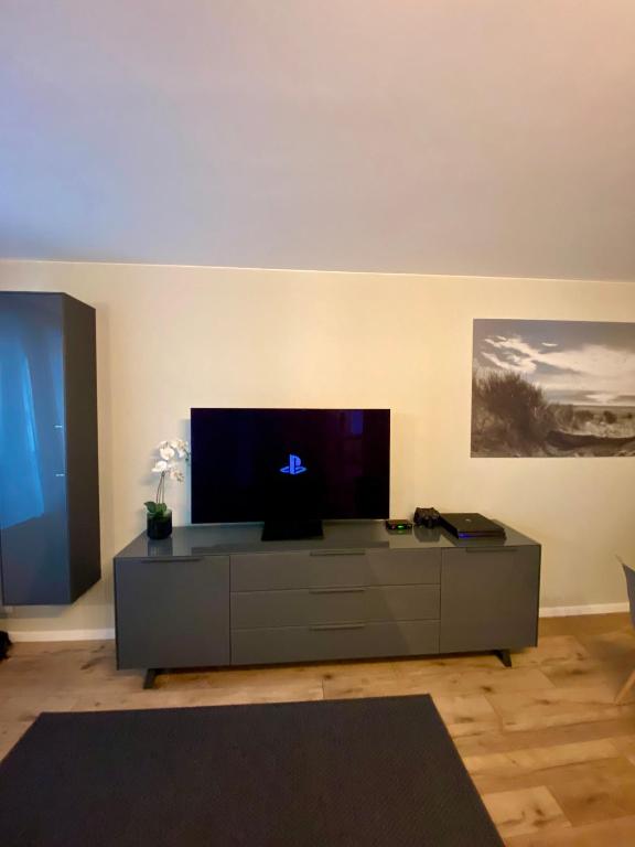 TV a/nebo společenská místnost v ubytování J.A.C.K.E.S.