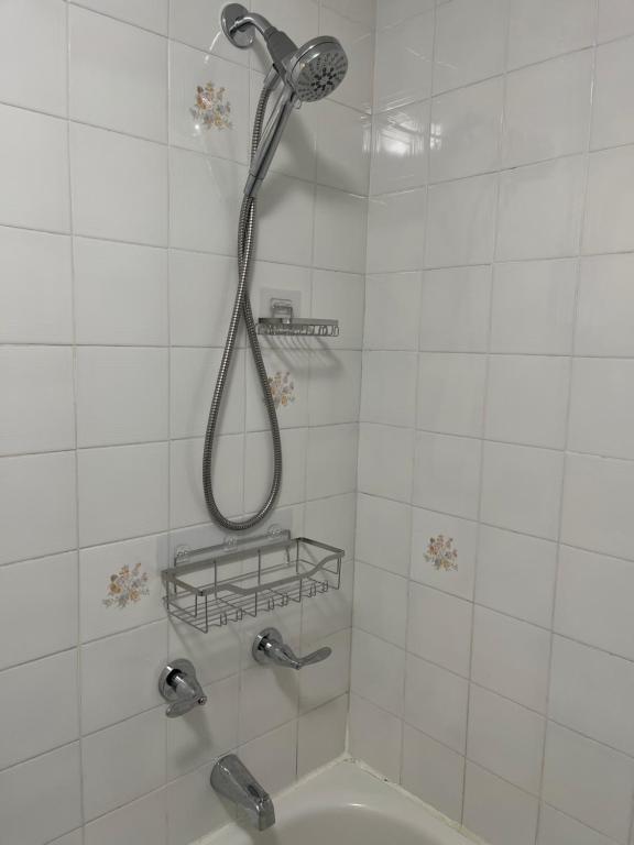 Koupelna v ubytování Bright, Private, Peaceful Suite with Retail Conveniences Steps Away
