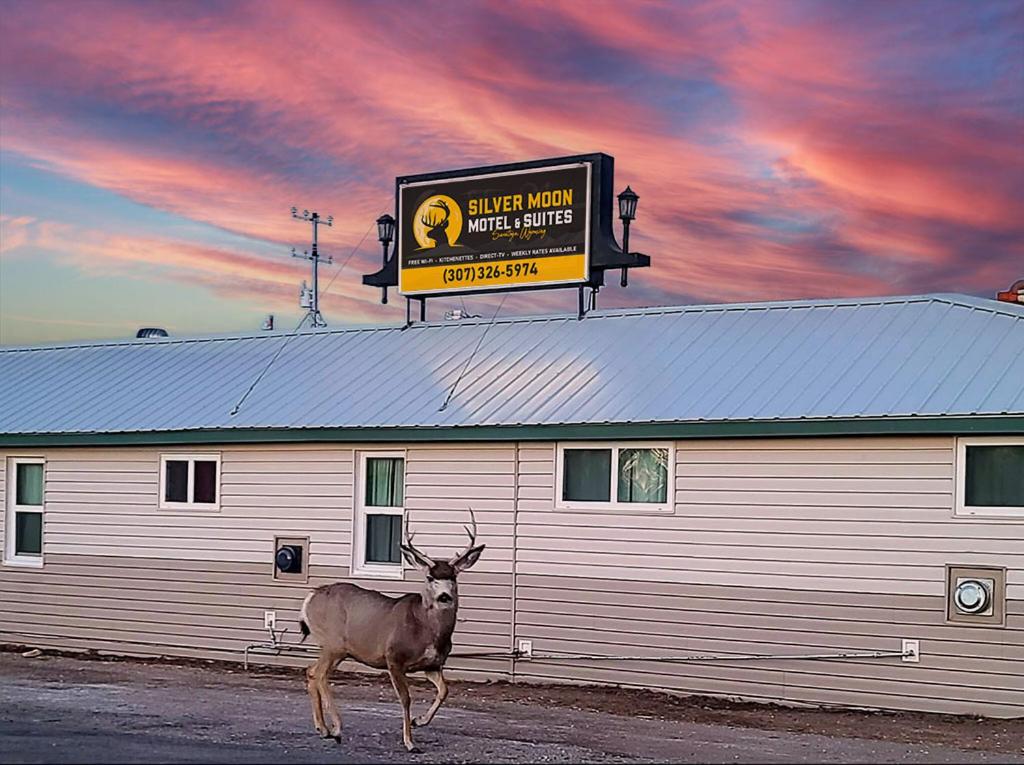 Zvířata v motelu nebo okolí