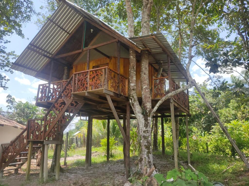 une cabane dans les arbres dans une cabane dans une forêt dans l'établissement Hotel Karupa Amazonas, à Leticia