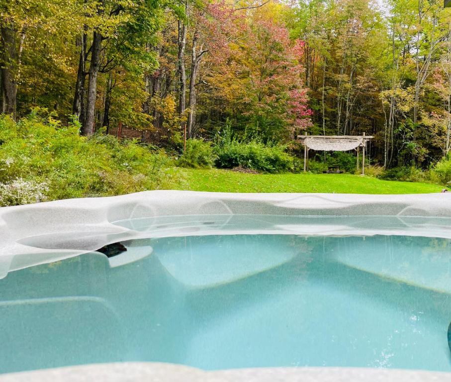 una piscina in un cortile con gazebo di Cozy and Charming Cottage with Jacuzzi and Fire Pit! a Livingston Manor