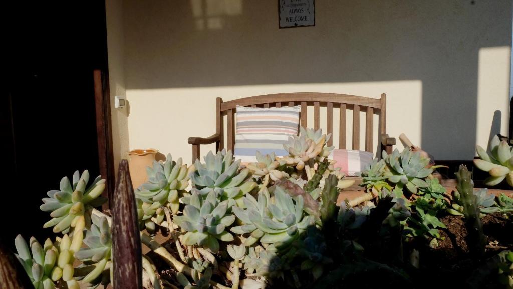 Zdjęcie z galerii obiektu B&B Le Rose w mieście Siderno Marina