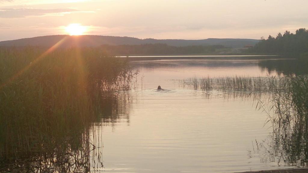 Příroda nedaleko apartmánu