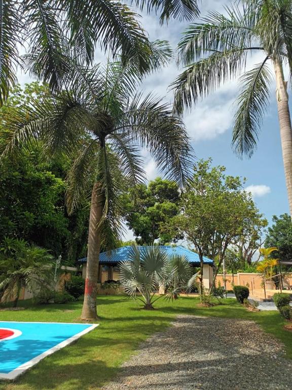 uma palmeira ao lado de uma piscina em Lujoso vacacional en Pedro Brand em Pedro Brand