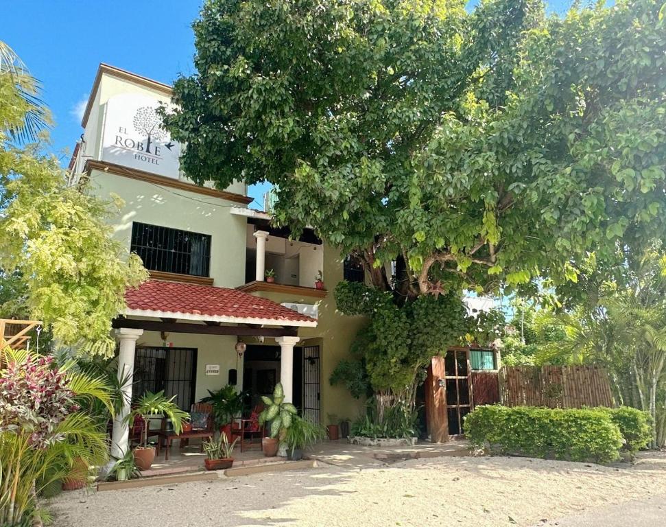 a house with a tree in front of it at El Roble Hotel in Bacalar