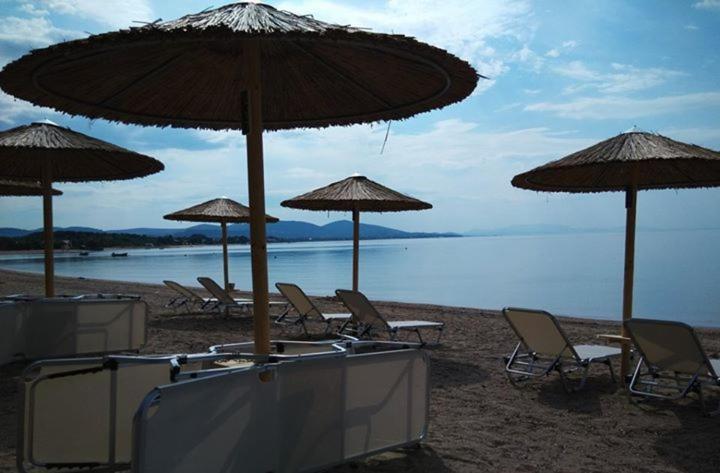 Fotografia z galérie ubytovania Olea Mare v destinácii Kalivia Poligirou