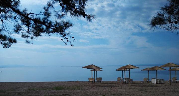 Fotografia z galérie ubytovania Olea Mare v destinácii Kalivia Poligirou