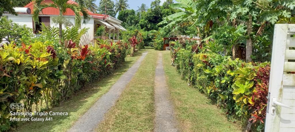 Vrt pred nastanitvijo maison familiale authentique