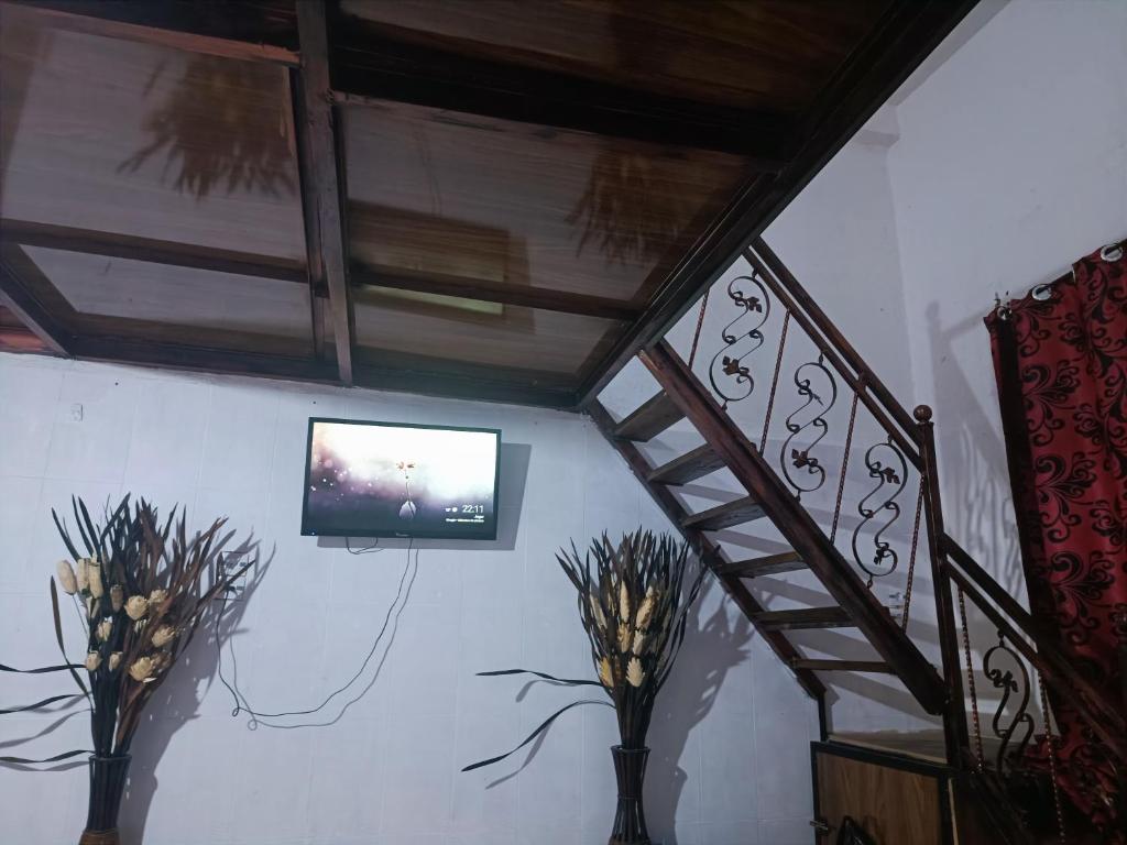 a staircase with two vases with flowers and a television at Duplex in Sétif