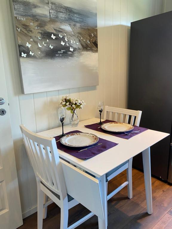 Fotografie z fotogalerie ubytování comfortable apartment in a quiet area in the city center v destinaci Skien