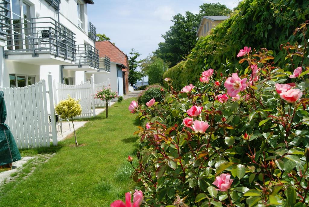 a garden with pink roses and a white fence at Ferienwohnung im Haus Katharina in Lauterbach