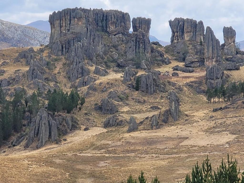 Gallery image of El Capulí in Cajamarca