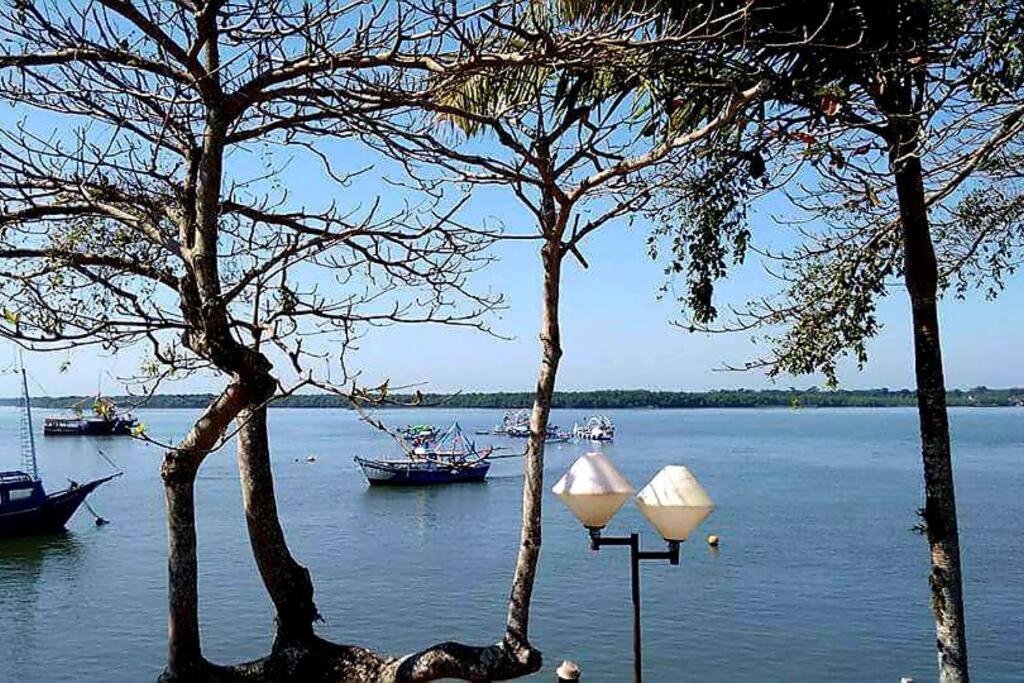 two trees and a street light with boats in the water at Casa para Temporada em Cananéia in Cananéia