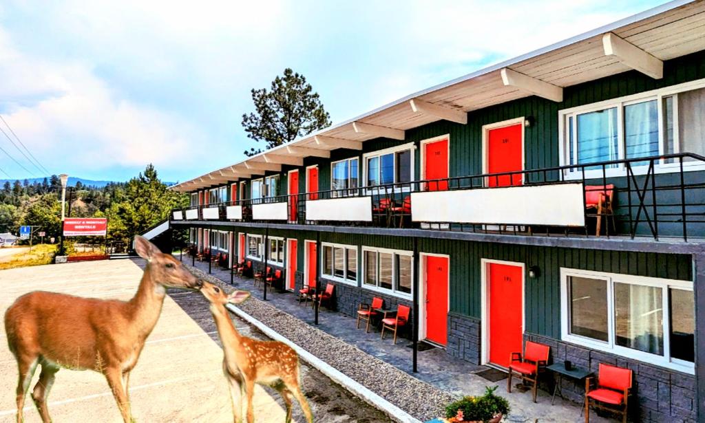 two giraffes standing next to a building with red doors at Deerview Lodge & Cabins - Princeton BC in Princeton