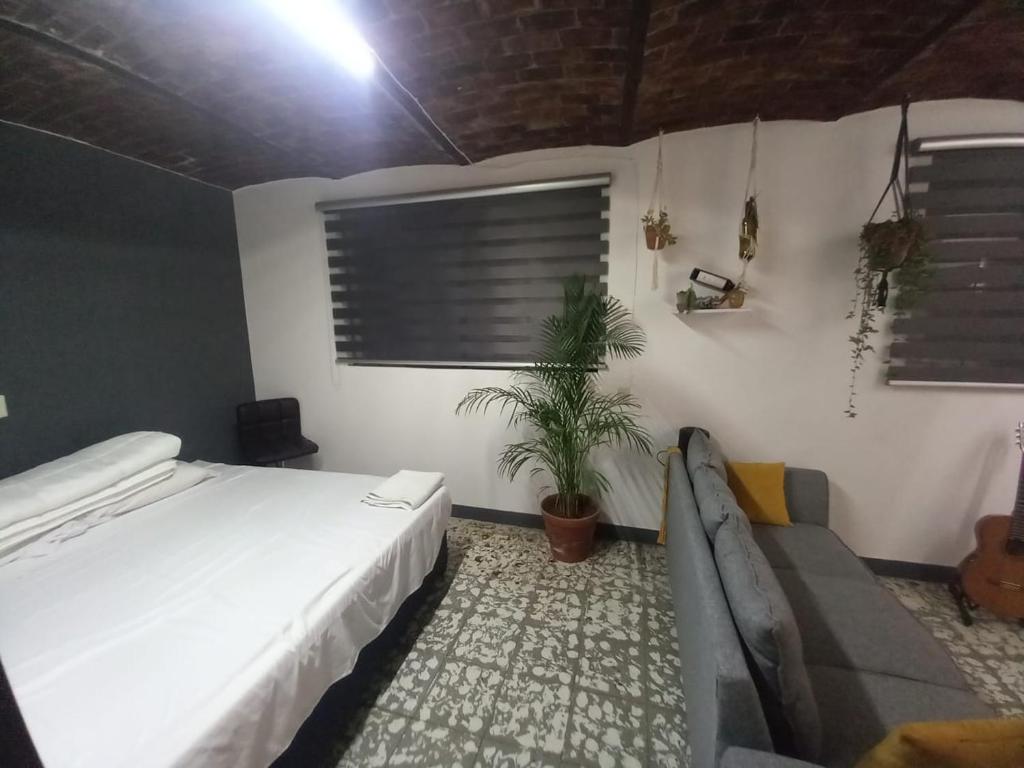 um quarto com uma cama e uma planta em Casa Hostal La Esperanza de Don Alfonso em León