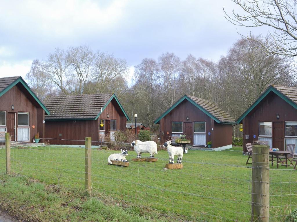 un grupo de ovejas de pie en un patio junto a una casa en Chalet 1 - Uk30302 en Tore