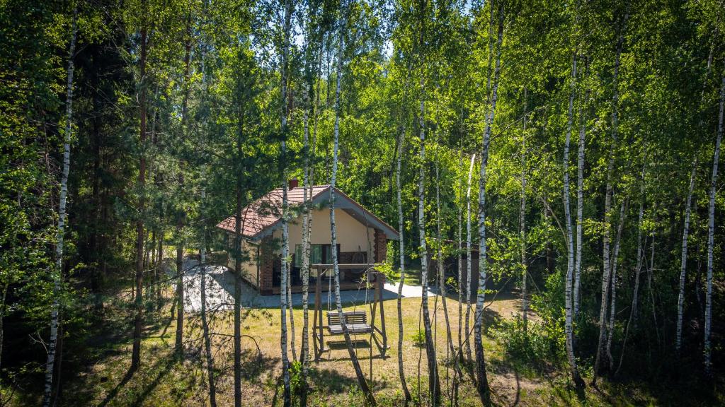 una pequeña casa en medio de un bosque en Amber House Deluxe, en Agluonėnai