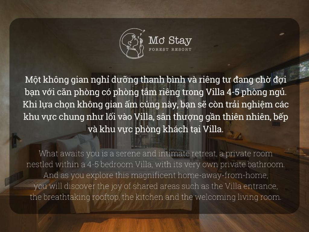 Bố cục Mơ Stay - Forest Resort