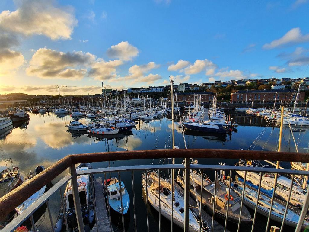 un grupo de barcos atracados en un puerto deportivo en Marina Retreat en Milford Haven