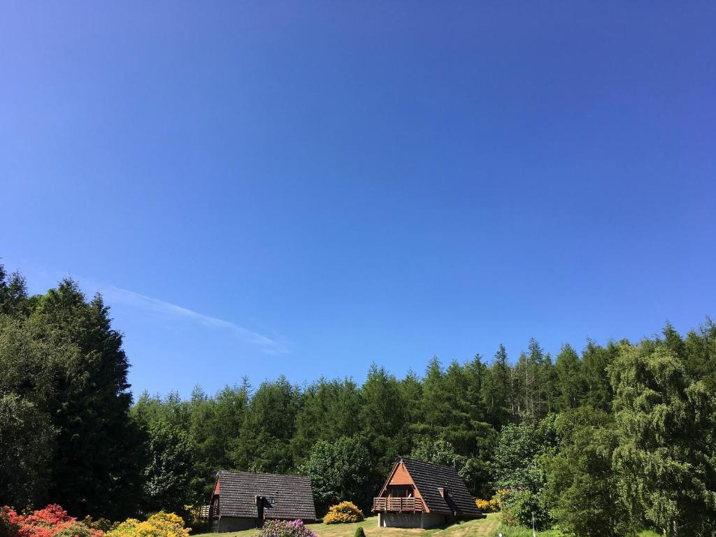 Glenurguhart的住宿－Thistle Lodge - Uk7051，两座房子,位于一座小山上,有树木
