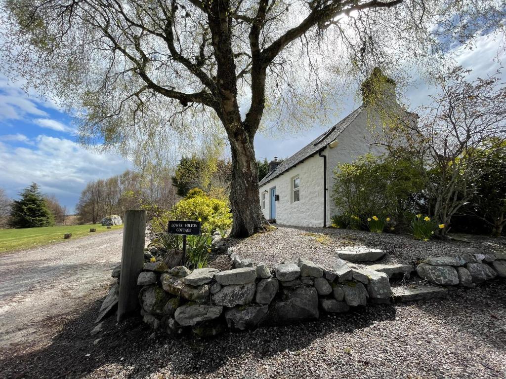 a tree and a stone wall in front of a church at Lower Hilton Cottage in Culrain