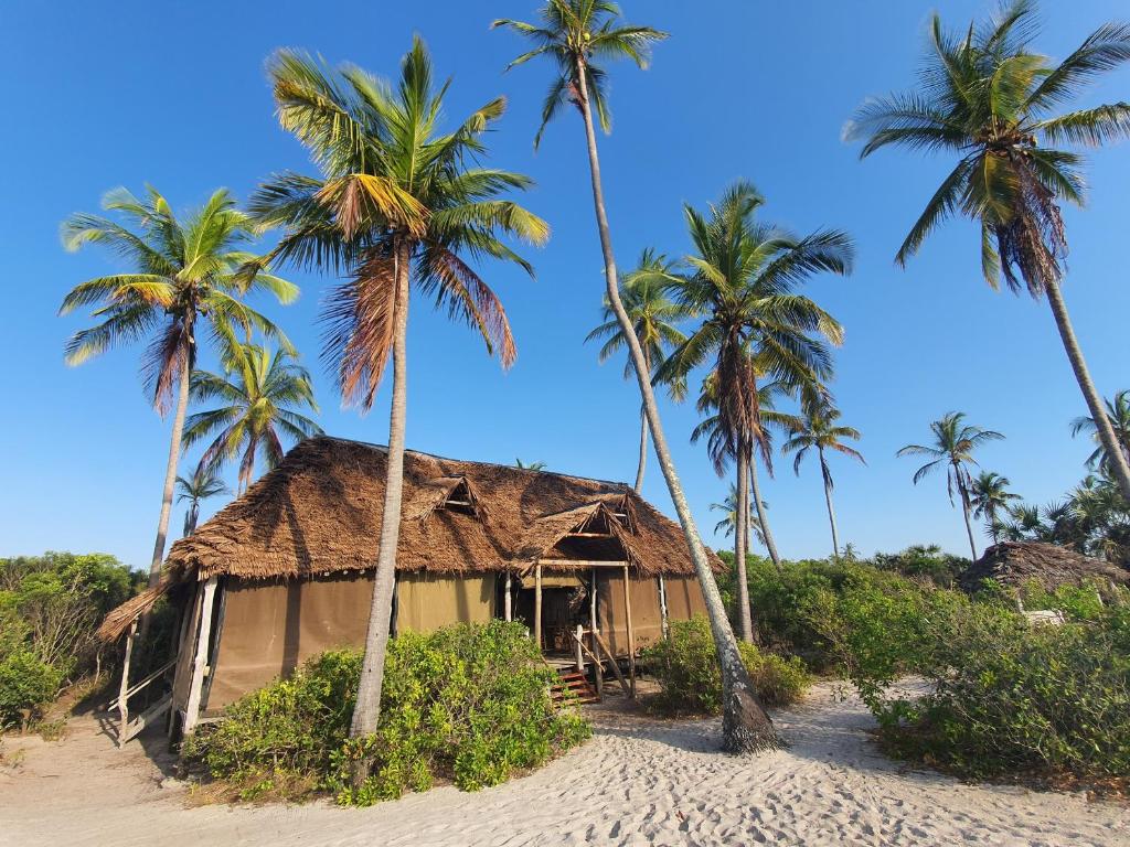 a hut on the beach with palm trees at Mahali Maalum Barefoot Lodge in Mkwaja