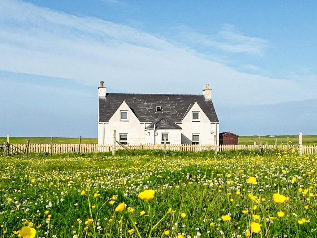 a white house in the middle of a field of flowers at Macrury Cottage in Paible