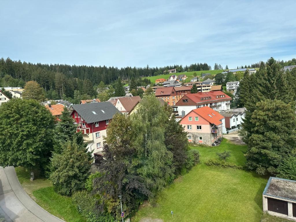 een luchtzicht op een dorp met huizen en bomen bij Ruhige Ferienwohnung in Schönwald in Schönwald