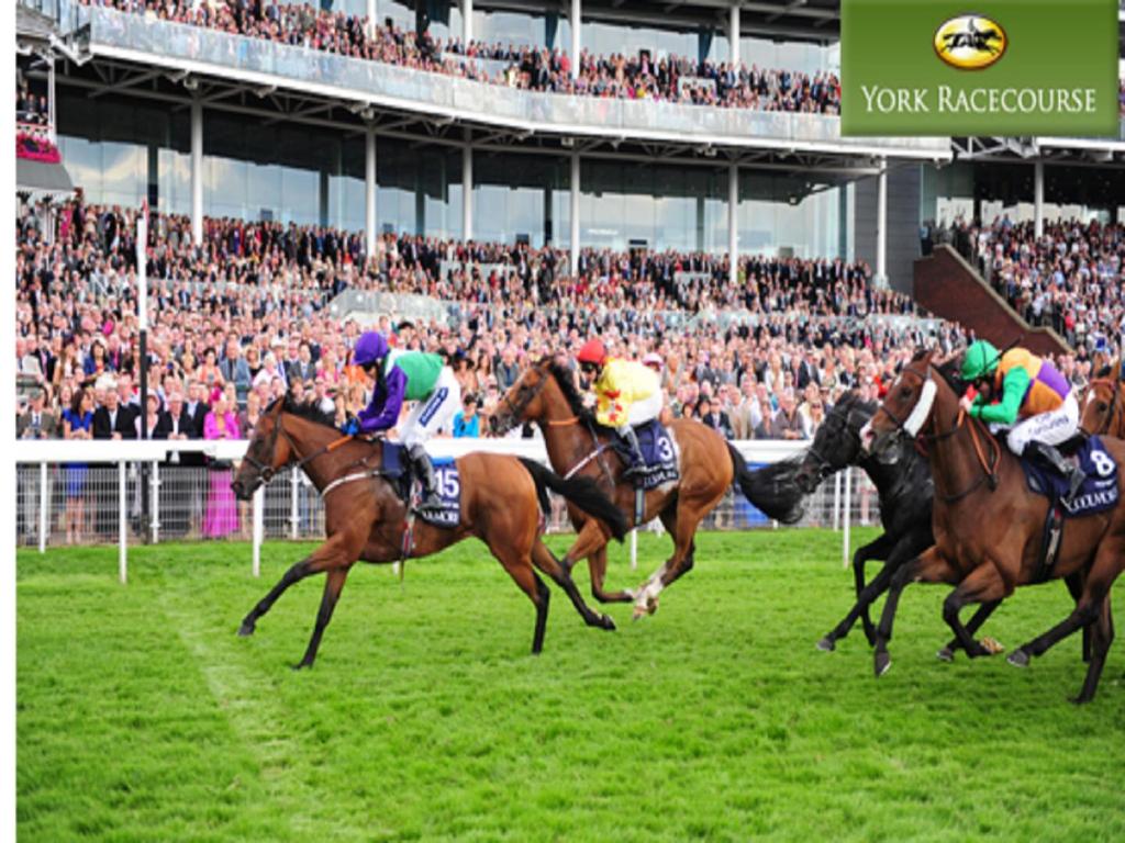 The Fort York - Resim 45