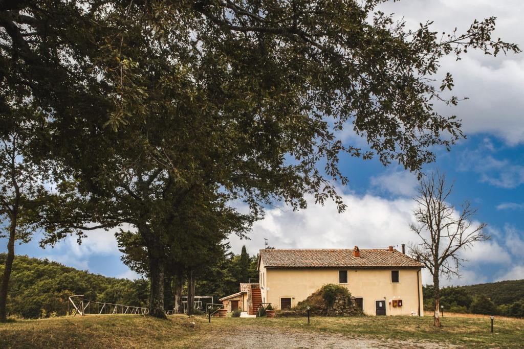 una casa en una colina con un árbol en Masseria del Bosco - Podere Poderuccio, en Chianciano Terme