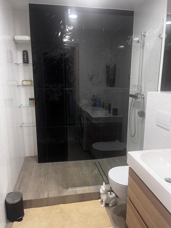 y baño con ducha, aseo y lavamanos. en Apartments in the center, en Kaunas
