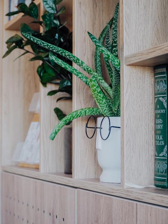 Levy's Rooms & Breakfast - Resim 36