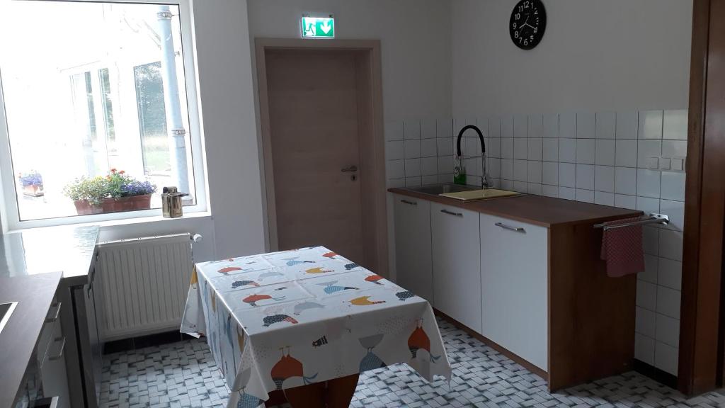 Kuchyň nebo kuchyňský kout v ubytování Villa Franzen