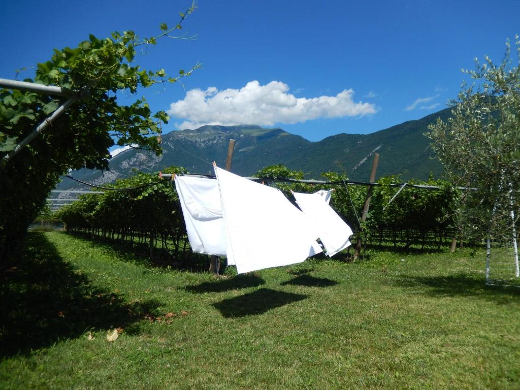 A general mountain view or a mountain view taken from a vidéki vendégházakat