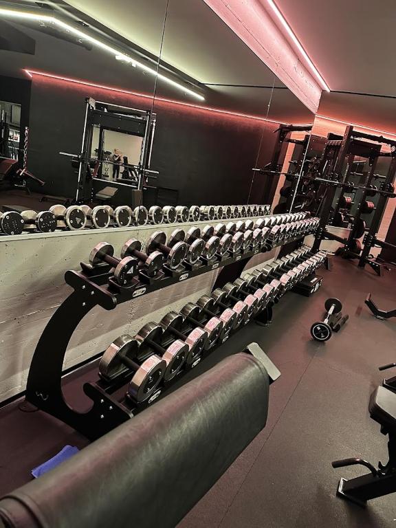 Fitness centrum a/nebo fitness zařízení v ubytování Hotel Stockalperhof