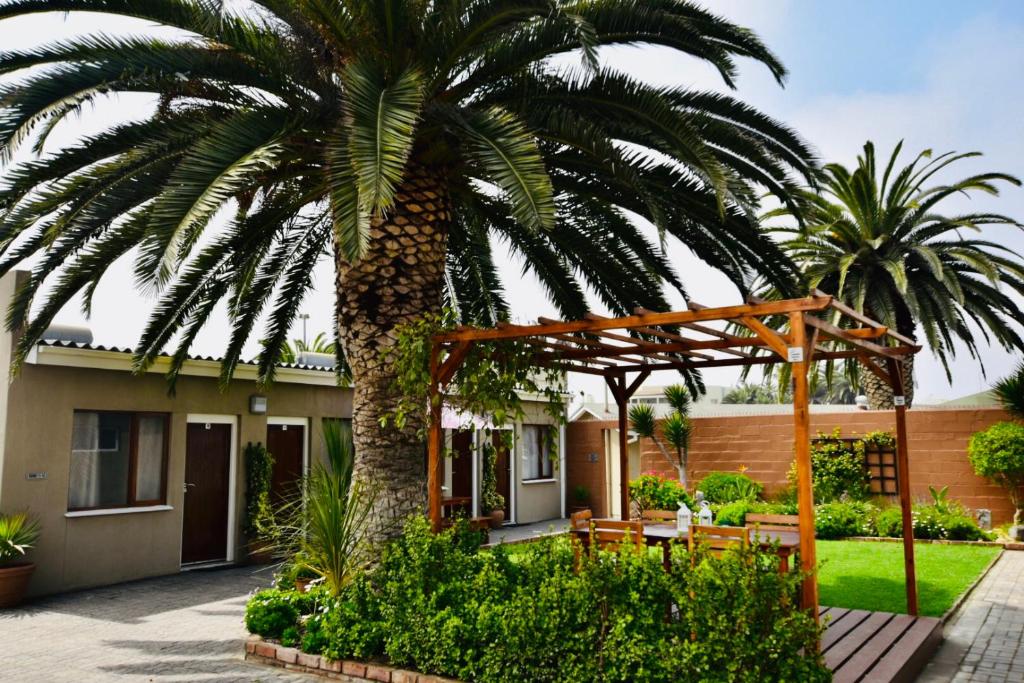 a palm tree in front of a house at The Mole Guesthouse in Swakopmund