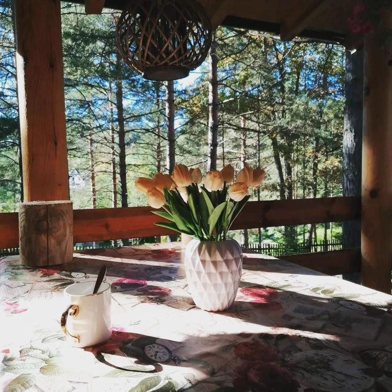 Zahrada ubytování Vila Tatjana-Zlatibor