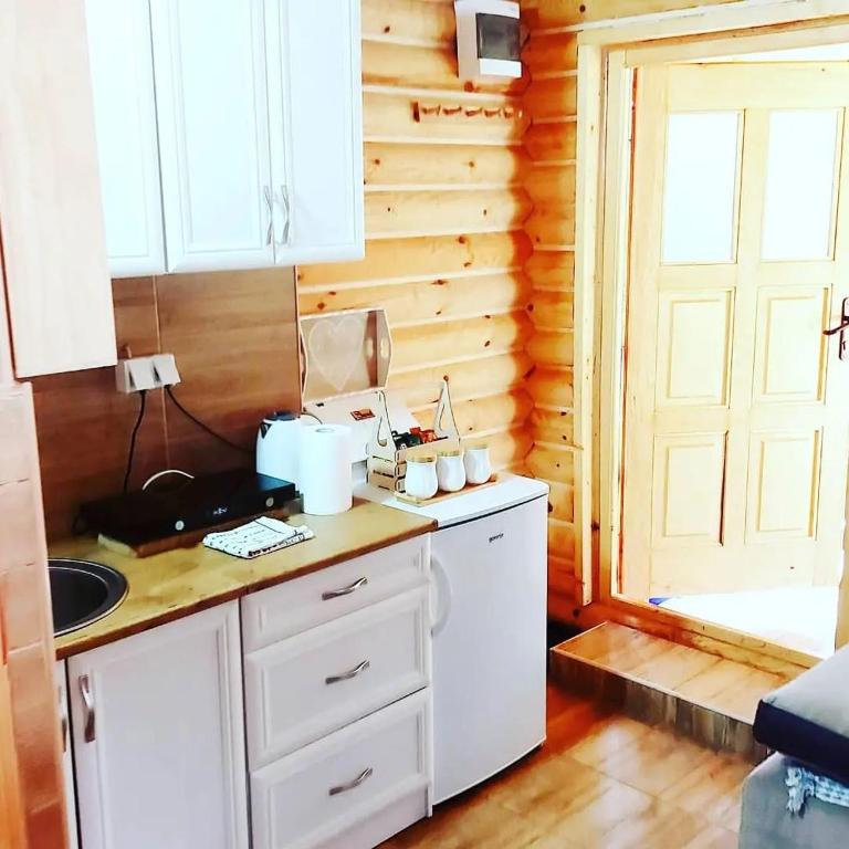 Kuchyň nebo kuchyňský kout v ubytování Vila Tatjana-Zlatibor