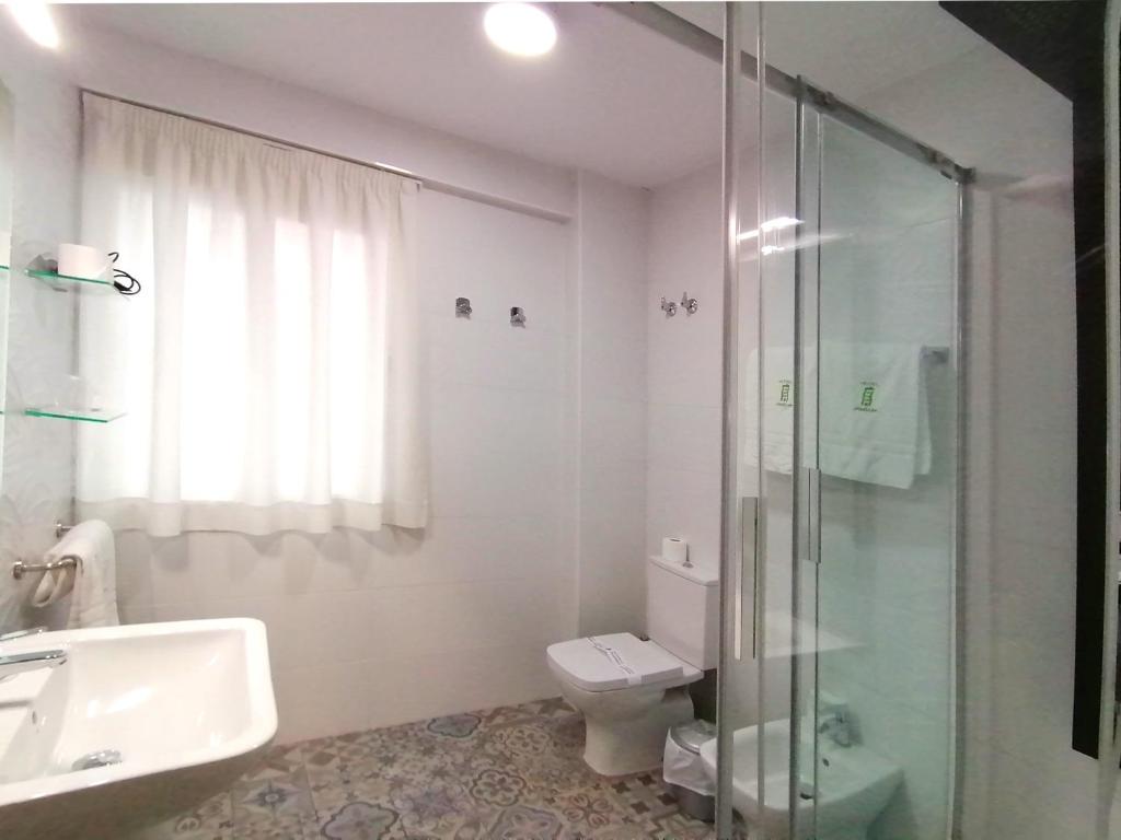 a bathroom with a shower and a toilet and a sink at Hotel Molinos in Granada
