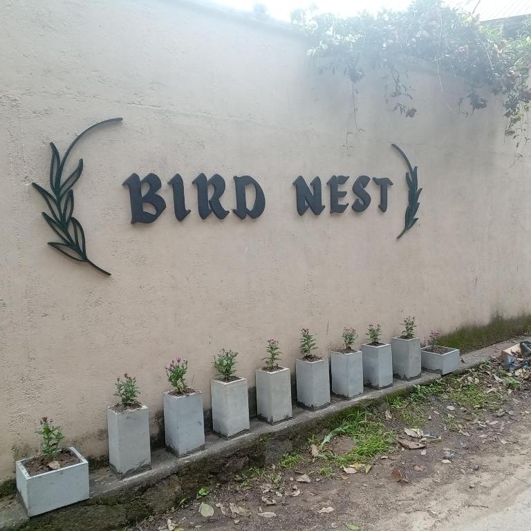 Fotografie z fotogalerie ubytování Bird Nest - Hanthana v destinaci Kandy