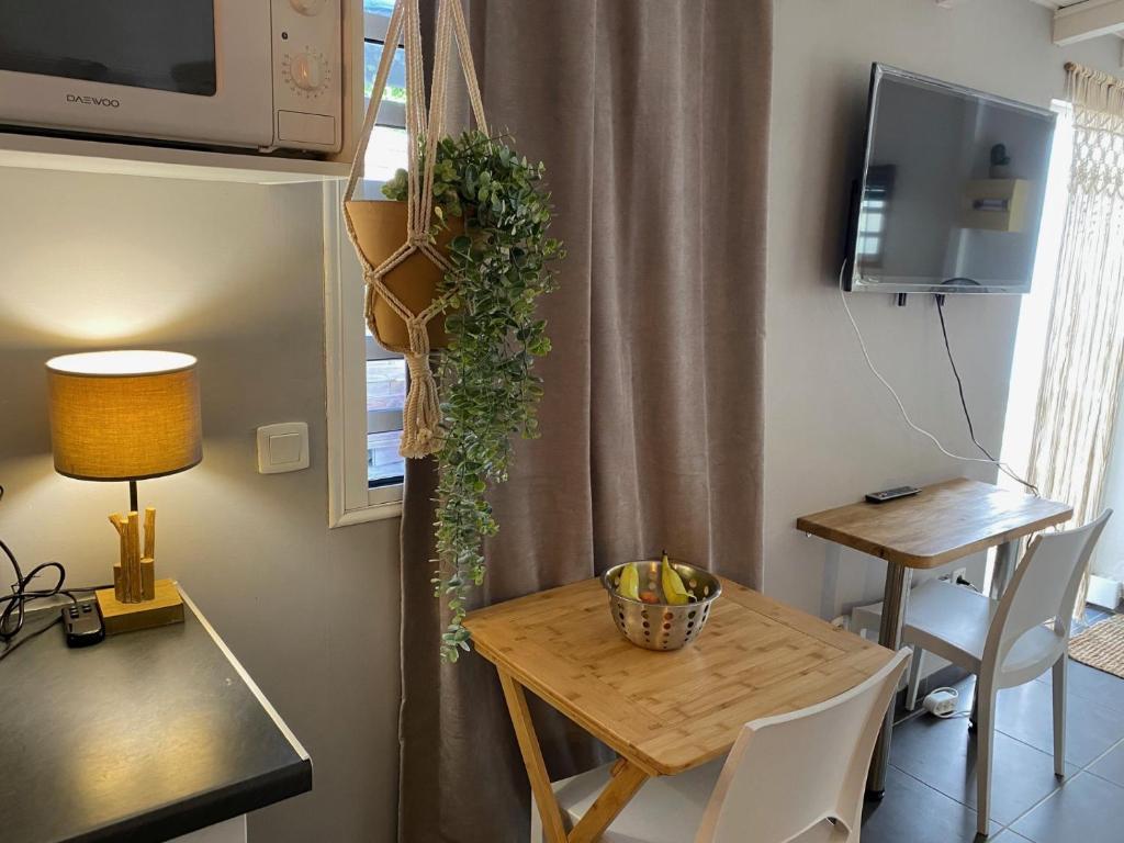 TV a/nebo společenská místnost v ubytování Studio cosy rez de jardin à 10 mn des plages