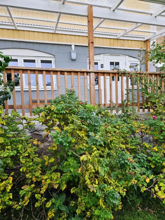 une terrasse couverte avec une clôture en bois et quelques fleurs dans l'établissement Brahe 65, à Gränna