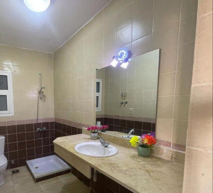 a bathroom with a sink and a mirror and a toilet at شالية مارينا وادى دجلة in Ain Sokhna