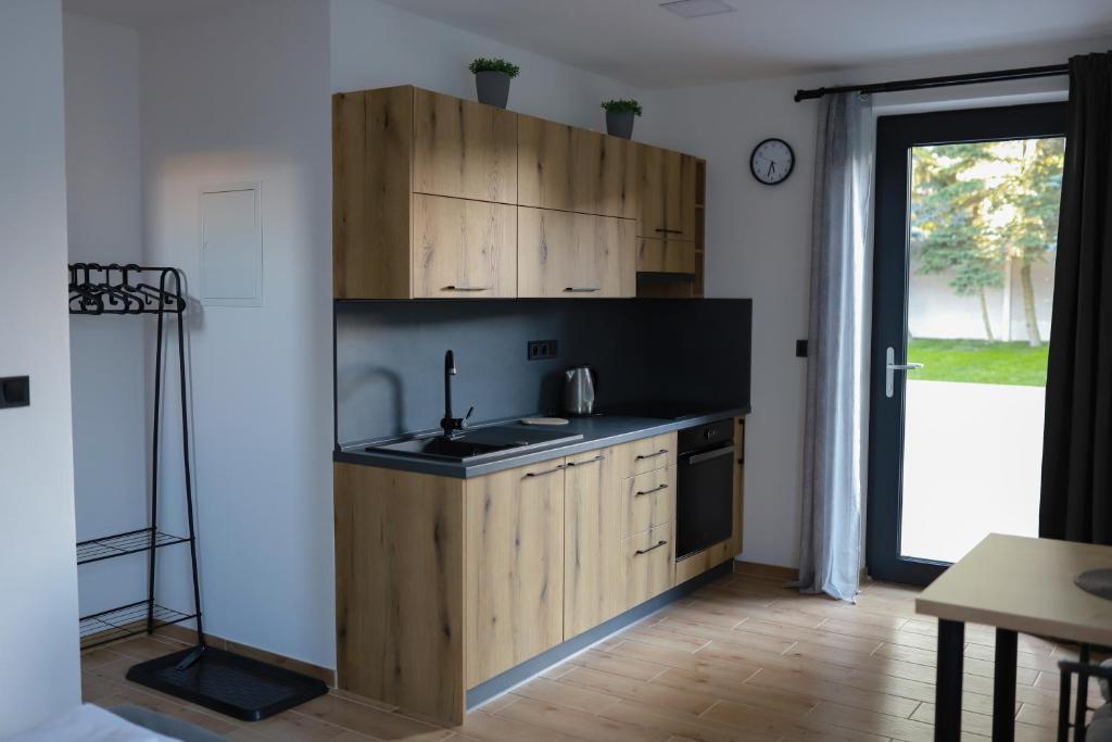 新比斯特日采的住宿－Apartmány v soukromí pod Javorem，厨房配有木制橱柜、水槽和窗户。