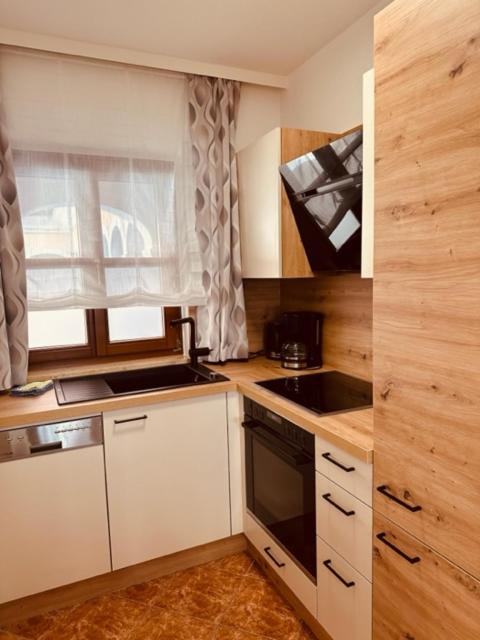 Kuchyň nebo kuchyňský kout v ubytování Almtalhotel Appartements in Pettenbach