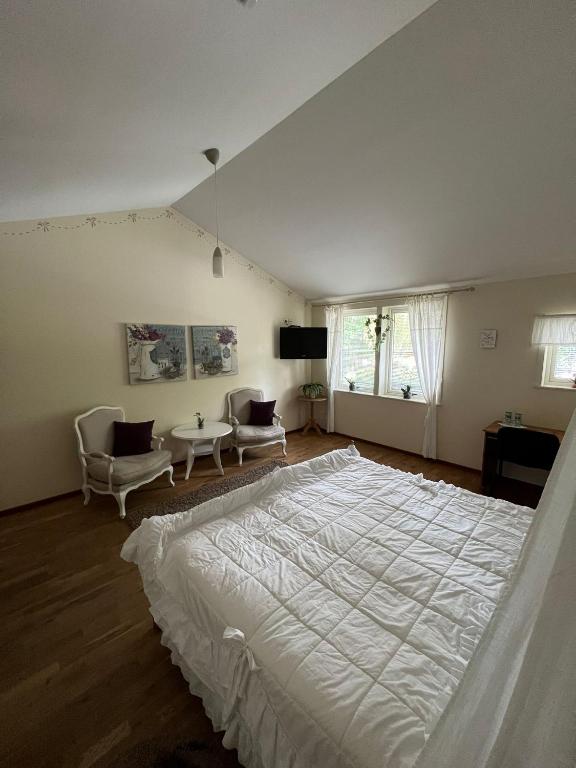Postel nebo postele na pokoji v ubytování Hotel Fritza