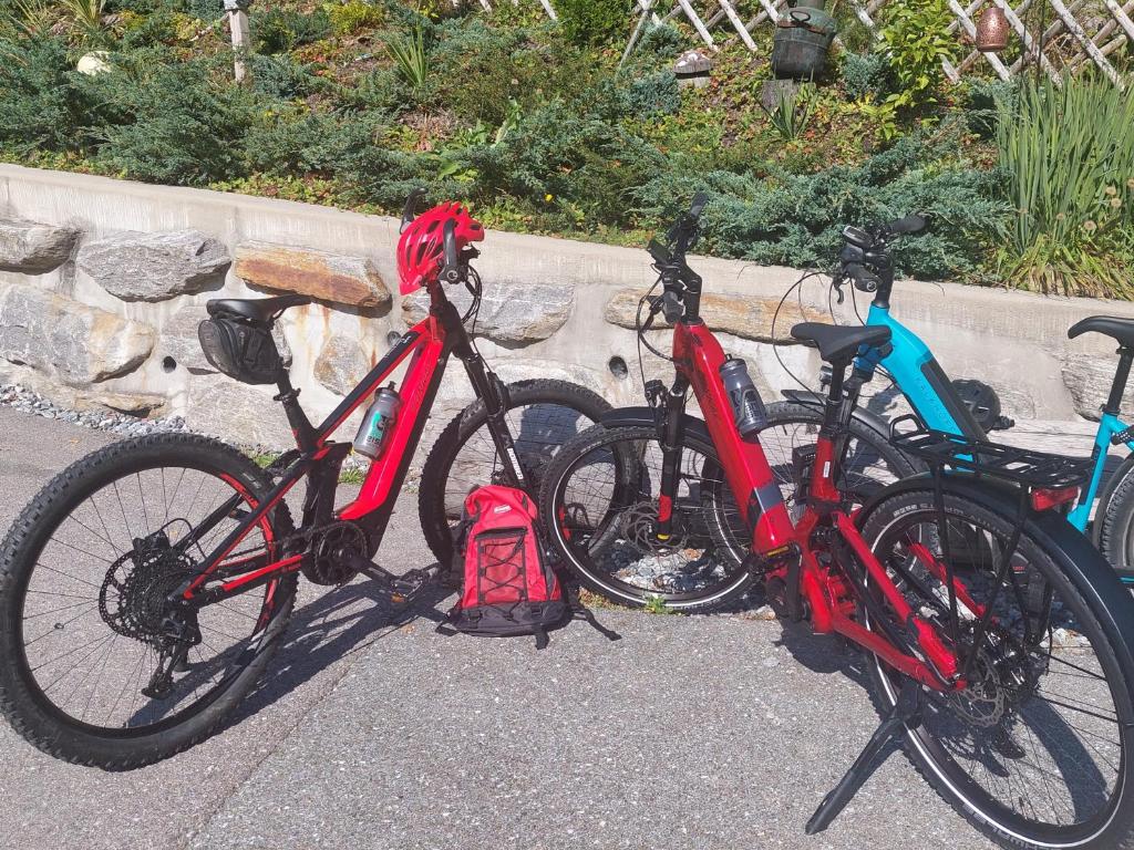 Jazda na bicykli v okolí ubytovania Gasthof Klug zum Ehrensepp