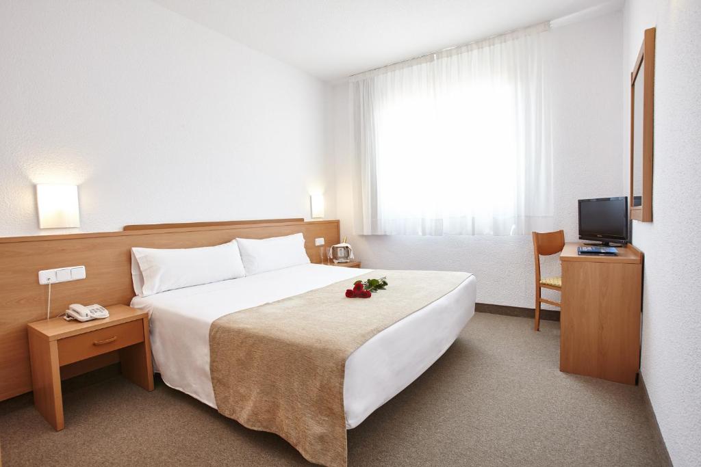 ein Hotelzimmer mit einem großen Bett und einem TV in der Unterkunft Hotel Montsia in Amposta