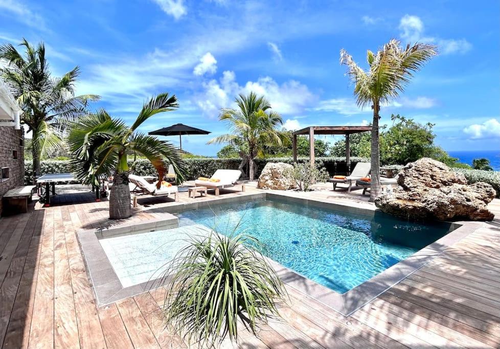 Saint Barthelemy的住宿－Villa des Vents，棕榈树后院的游泳池