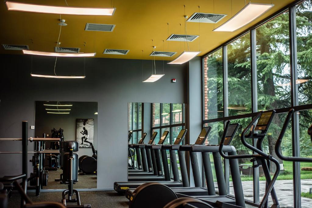 Fitness centrum a/nebo fitness zařízení v ubytování Lopota Lake Resort & Spa